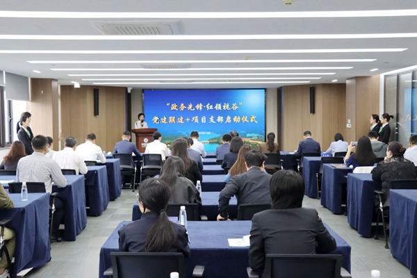 红色纽带串联四级服务！“政务先锋・红领视谷”党建联建+项目支部启动仪式在中国视谷顺利举行