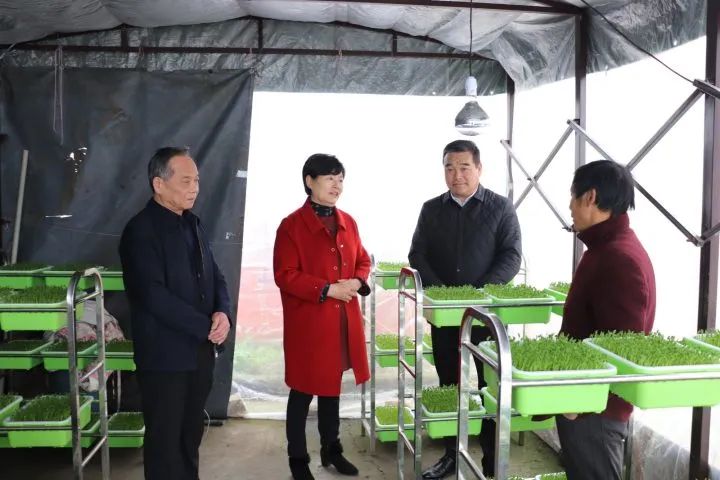 桑榆非晚志不渝 大爱济世助共富